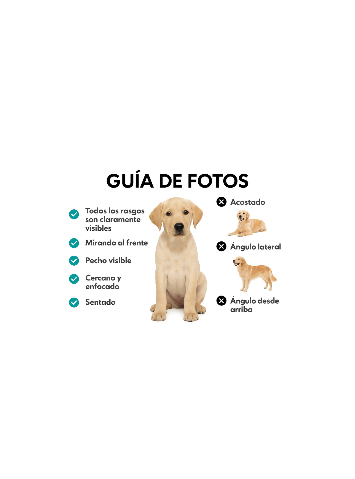 Funda Personalizada Ilustración De Mascota Para iPhone